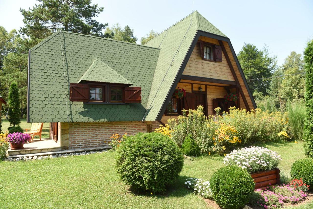 Visnjin Dom Villa Divcibare Ngoại thất bức ảnh