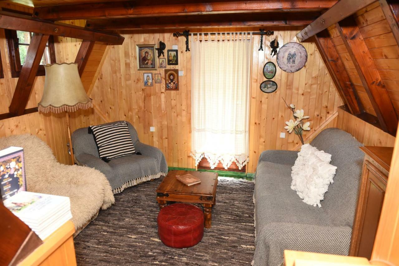 Visnjin Dom Villa Divcibare Ngoại thất bức ảnh